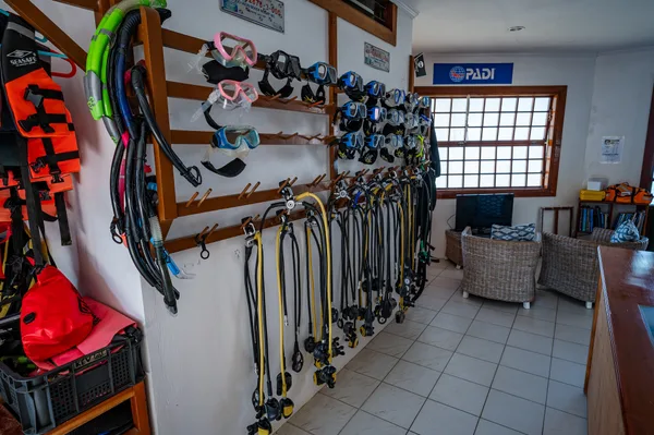 Dive Pro Career