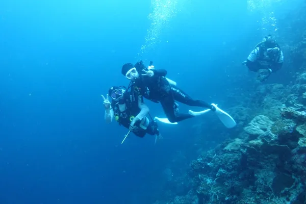 써니다이버스 Sunnydivers