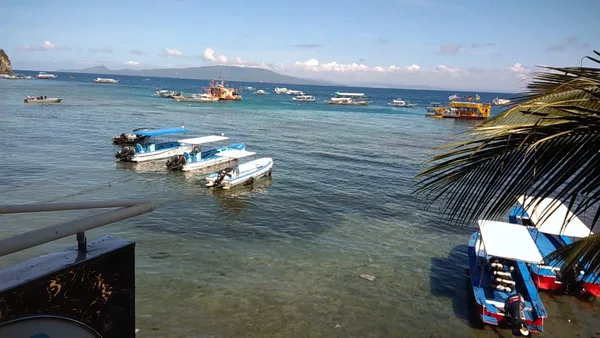 Dive Dojo
