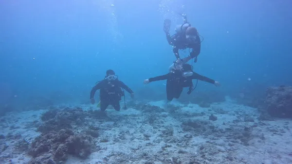 Nalu dive