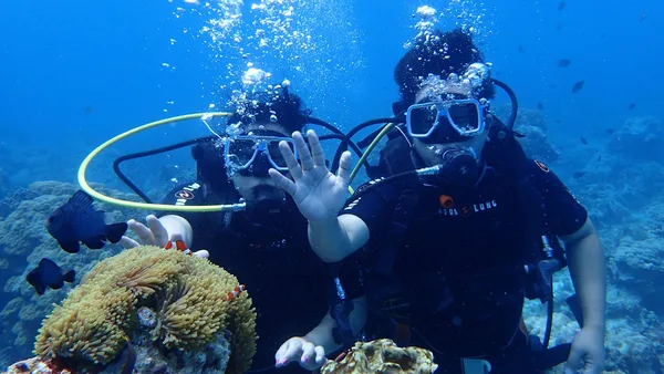 The Paradise Dive Center