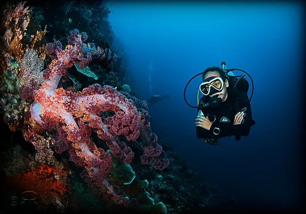 Yaya Sosyalera Both PADI and SSI SCUBA DIVING INSTRUCTOR, Moalboal PHILIPPINES