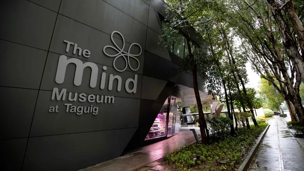 The Mind Museum
