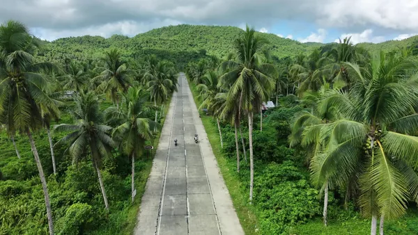Coconut Road