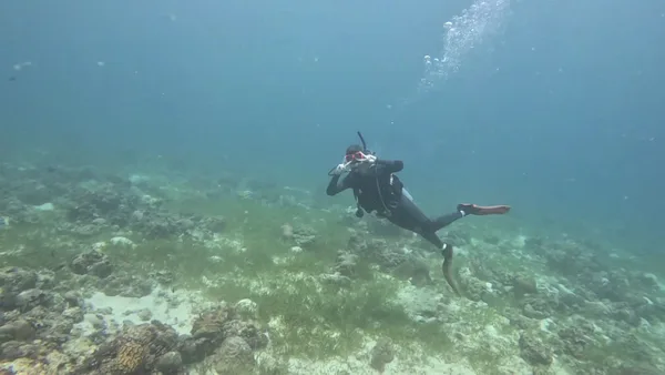 Seahorse Dive Resort (씨홀스 다이브)
