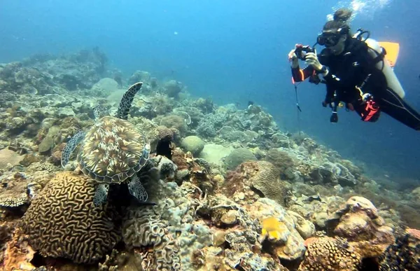 Reef Turtle Dive Center / Centro de Buceo PADI en Siquijor (Spanish/French/English)