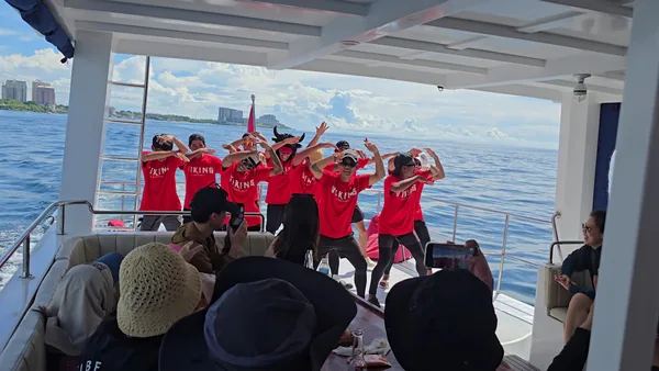 VIKING HOPPING TRAVEL AND TOURS