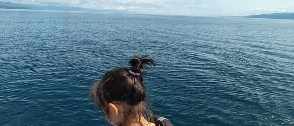 Bais Dolphin Watching and Manjuyod Sandbar Tours