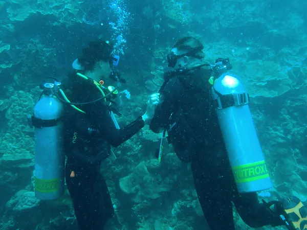 Cebu Dive Centre