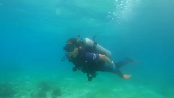Oslob Whaleshark Divers / Jay-R Diving