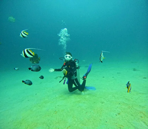 Dive The Vibe