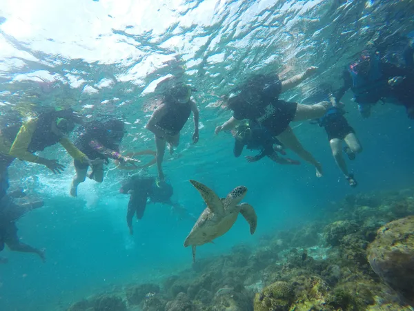 Bigson Travel and Tours