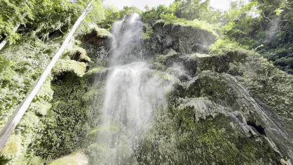 Island Trek Tours