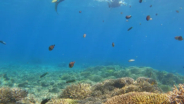 BORACAY KESAM DIVE