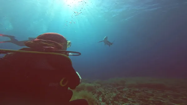 DiverGems Diving Center