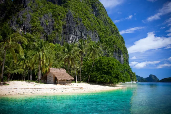 Tropical Paradise Travel and Tours