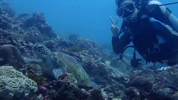 Kai Dive