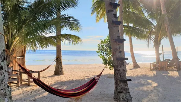 Apo Diver Beach Resort