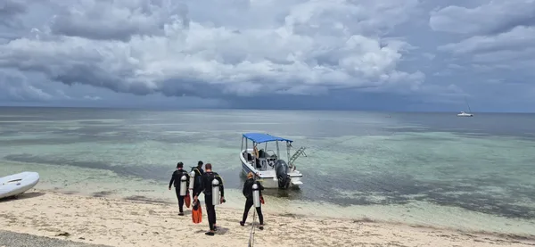 Sea Pearl Divers / 5 STAR PADI CENTER