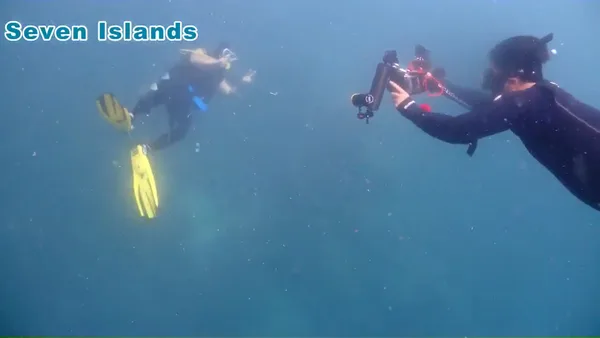 OhCEAN DIVE