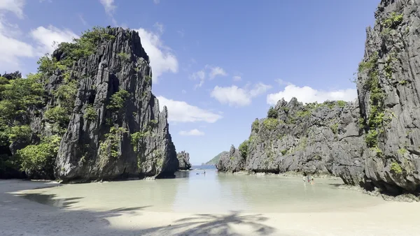 Tomster Travel and Tours