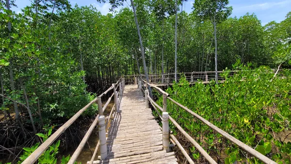 Mangrove Camp Sawi
