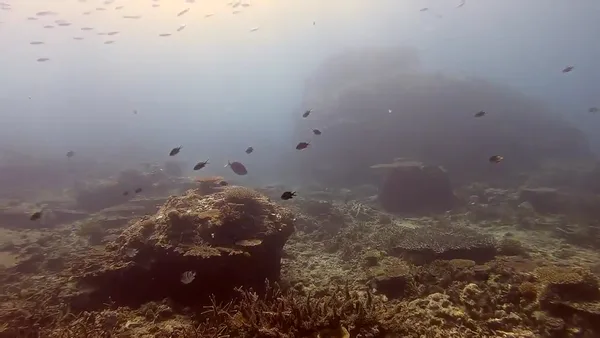 Tabanka Divers