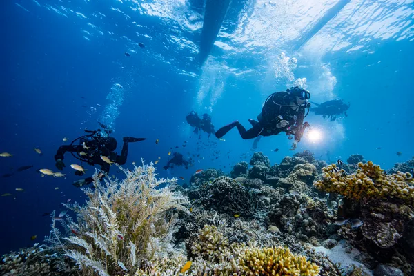 UNDER THE SEA DIVING RESORT