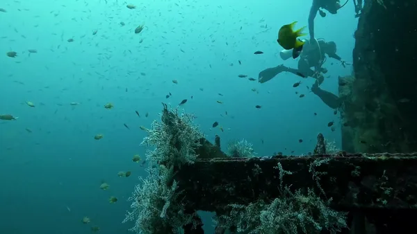 Island Staff Diving AND Tour Shoppe Inc.