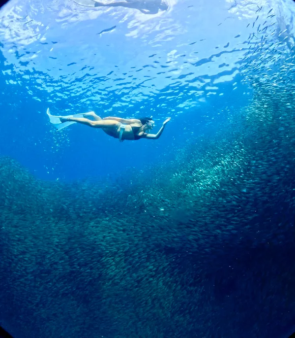 Klyd-Freediving/FunDive And Tours