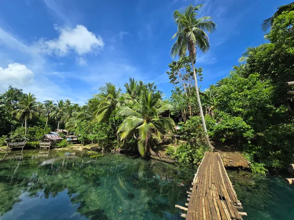 Beto Cold Spring