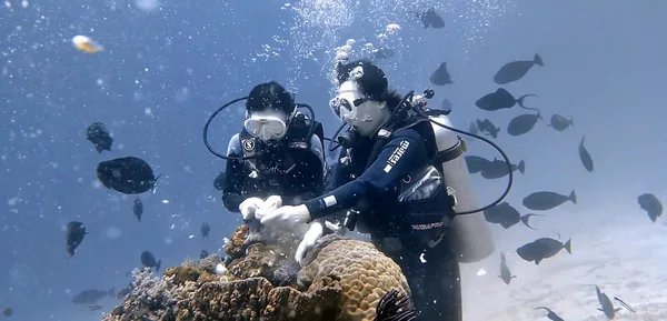 A&B Dive Shop