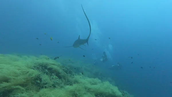 MONTENOVA DIVE CENTER