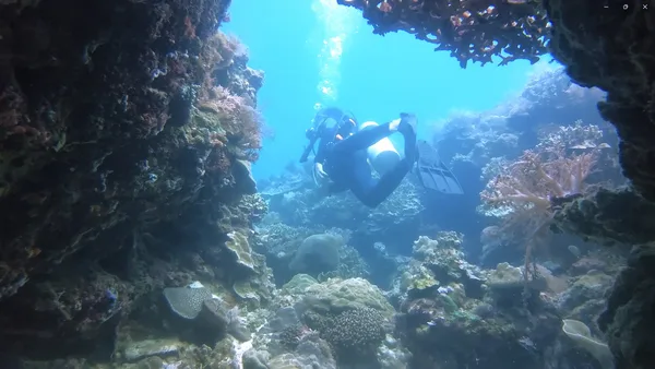 Siquijor Divers Center