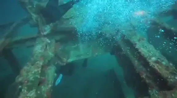 DM Diving Manila