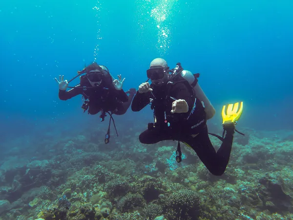 Skylodge Dive Shop