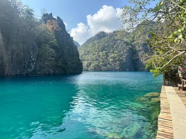 Island Travel and Tours Coron