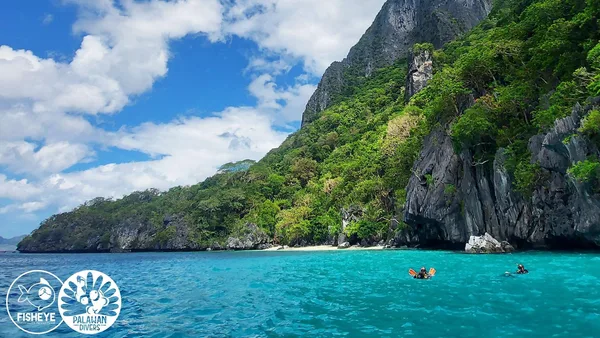 Palawan Divers