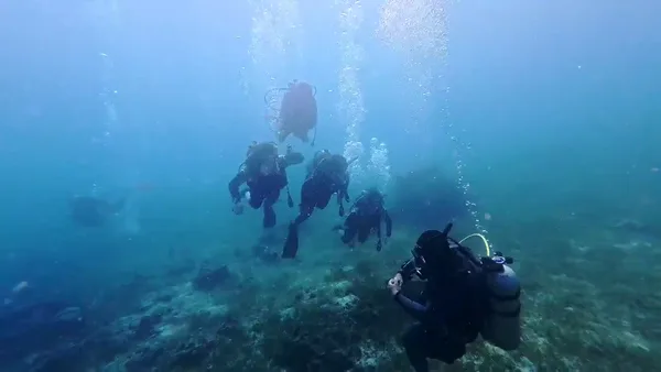 Oceanplayer Dive