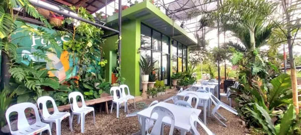 Starlet's Garden