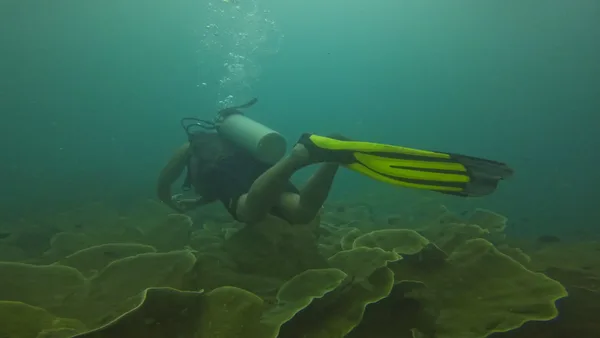 Morazan Maru Wreck