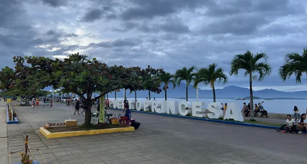 Baywalk Christmas Tree