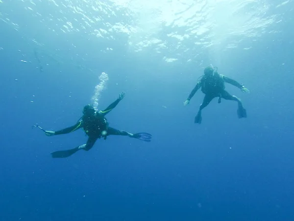 Calypso Diving School