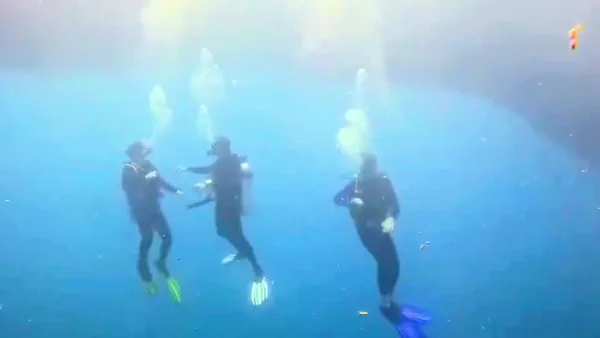 Moalboal Dive Center