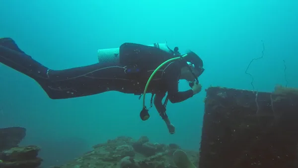 Bubble Divers package tour services