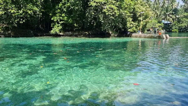 Bogac Cold Spring