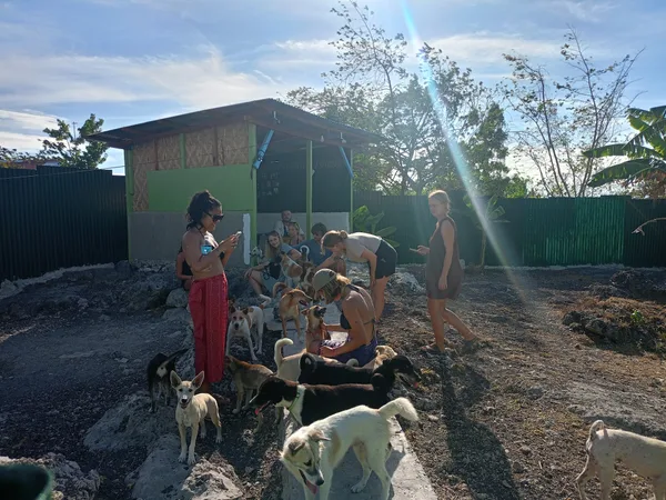 Moalboal Animal Welfare Outpost