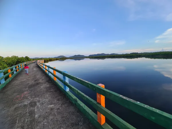 Numancia Mangrove Boardwalk