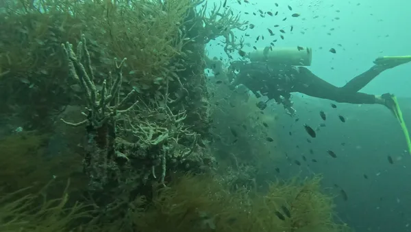 Umali Dive Center Corporation