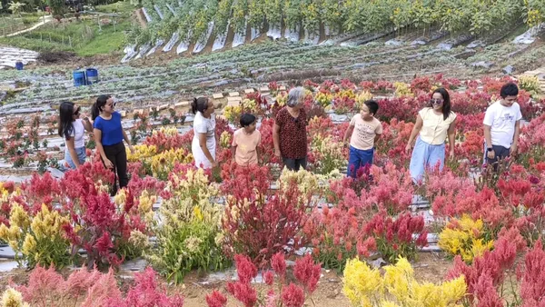 Flower Garden